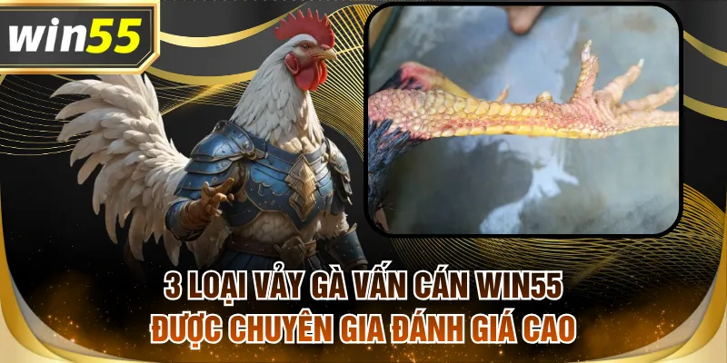 Vảy gà vấn cán WIN55