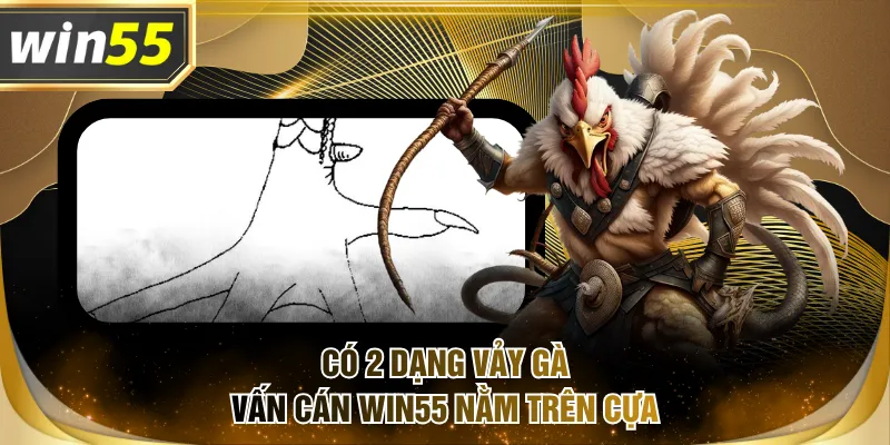 Có 2 dạng vảy gà vấn cán WIN55 nằm trên cựa