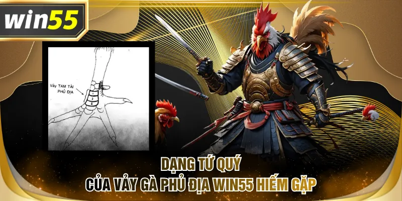 Dạng tứ quý của vảy gà phủ địa WIN55 hiếm gặp