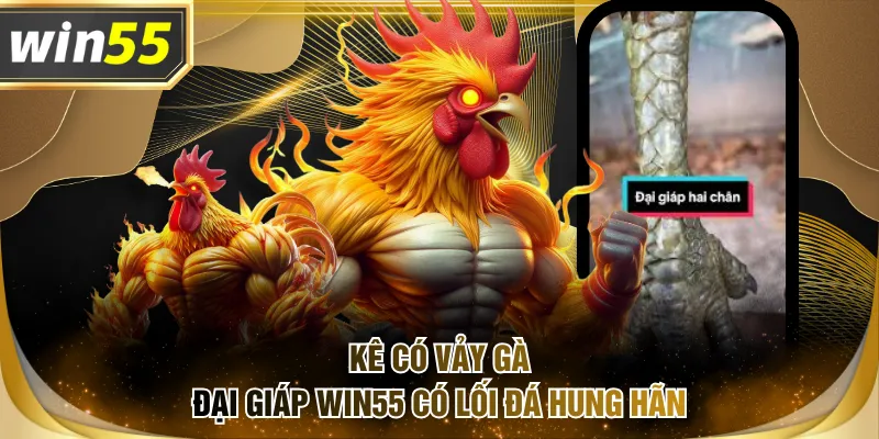 Kê có vảy gà đại giáp WIN55 có lối đá hung hãn