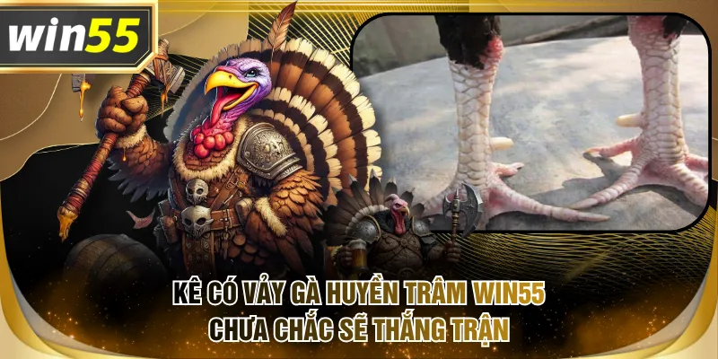 Kê có vảy gà huyền trâm WIN55 chưa chắc sẽ thắng trận