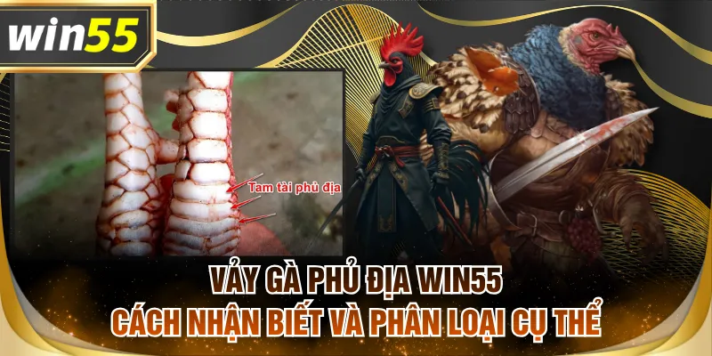 Vảy gà phủ địa WIN55