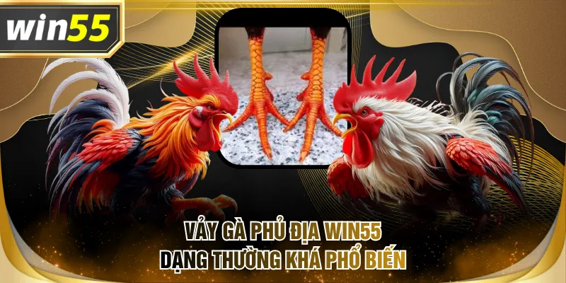 Vảy gà phủ địa WIN55 dạng thường khá phổ biến